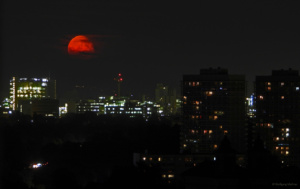 there he was again, 20.09.24